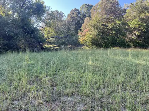 Decatur, TN Land Opportunity