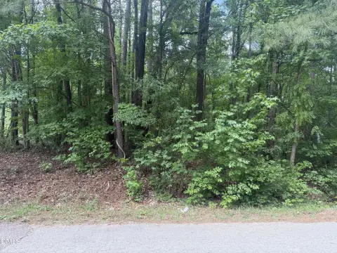 Wooded Residential Lot for Development