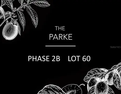 Residential Acreage in Archer, Florida