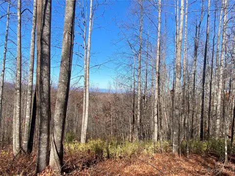 Nebo, NC Land Opportunity