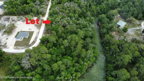 Waterfront Land in Webster, FL