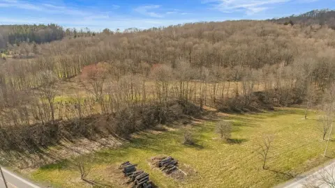 Hunting and Recreation Land with Road Frontage