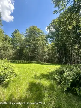 Wooded Land Parcel for Recreation