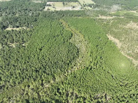 Ragley, LA Vacant Land