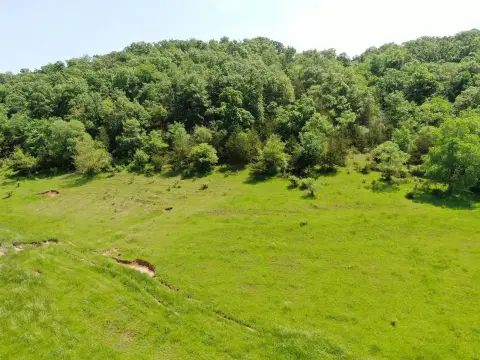 41 Acres in Peaceful Valley