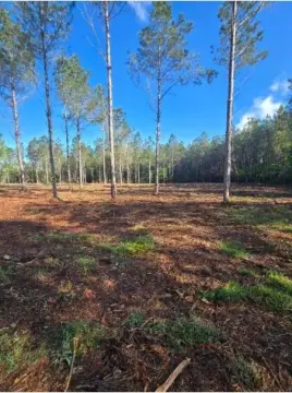 Residential Lot in Loris, SC