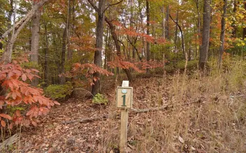 Wooded Homesite in Blairsville, GA