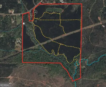 Hunting Land with Creek Frontage