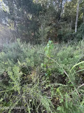 Land Parcel Along LA Highway 333