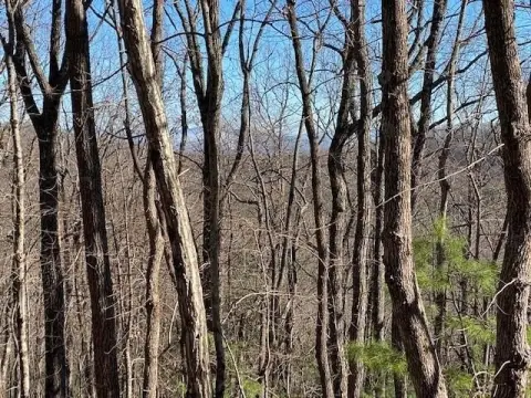 Land Near Downtown Blue Ridge