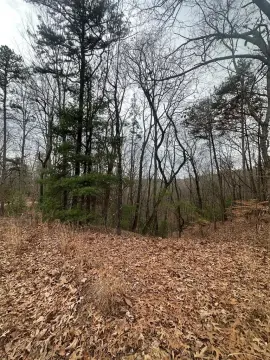 Unrestricted Lot in Ellijay, GA