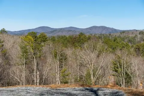 Ellijay Land with Mountain Views