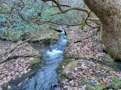 6.83 Acres Unrestricted Land