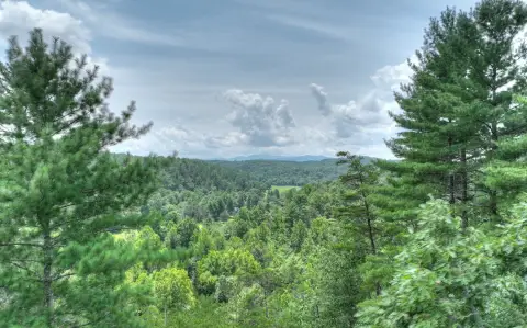 Morganton, GA Wooded Lot