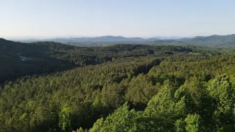 Mountain View Lot in Blairsville