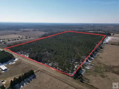 East Texas Land on FM 250