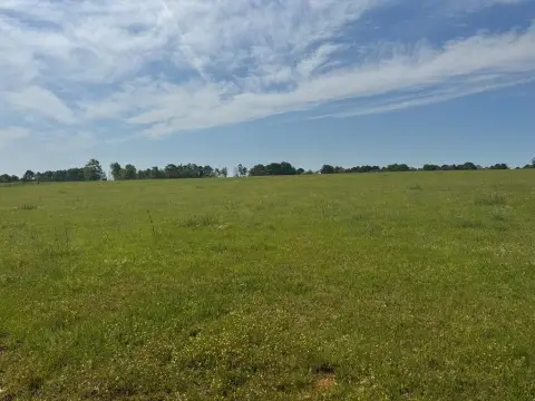 Agricultural Land with Animal Use