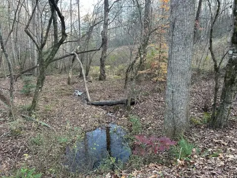 Wooded Residential Lot with Utilities