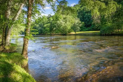 Waterfront Land Lot on River