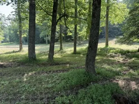 Waterfront Residential Land Lot