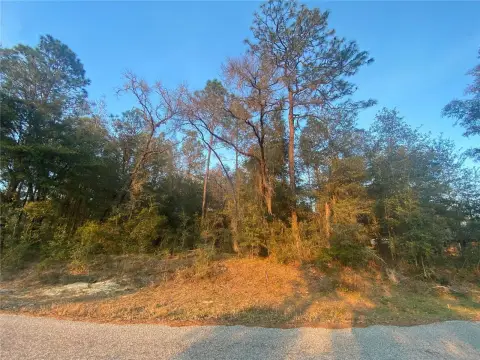 Dunnellon Acre Lot Opportunity