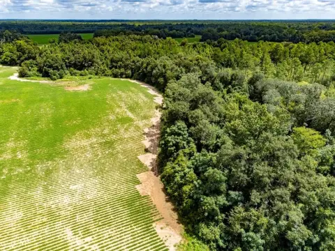 33 Acres of Farmland