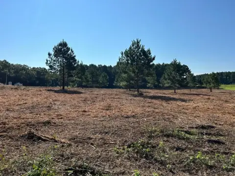 Dothan Commercial Land For Sale