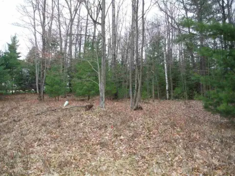 Residential Land in Prudenville, MI