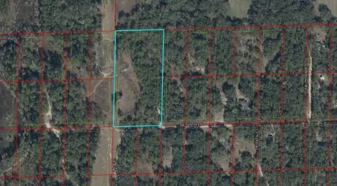 5 Acres in Bronson, Florida