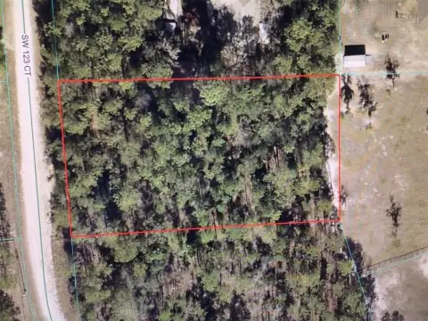 Residential Land in Ocala, FL