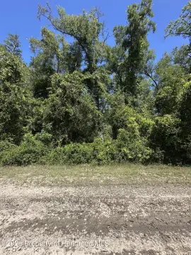 Residential Lot in Inverness Highlands