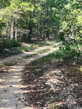 Ozarks Land with National Forest Access