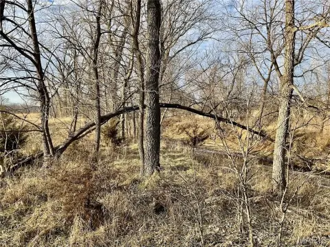 Recreational Hunting Farm with Build Site