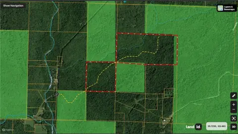 Timbered Hunting Land