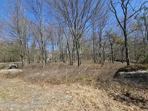 Recreation Land Lot for Sale