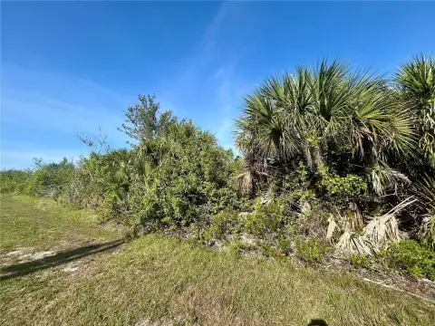 Residential Land in Port Charlotte