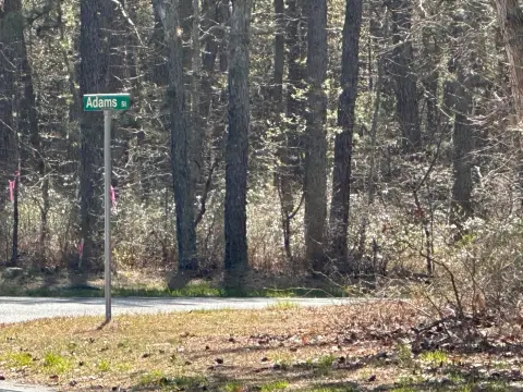 Whiting Vacant Land Parcel