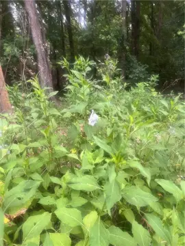 Lakefront Residential Land Parcel