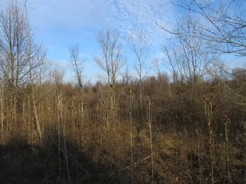 Commercial Land