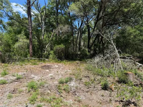Land in Ocklawaha, Florida