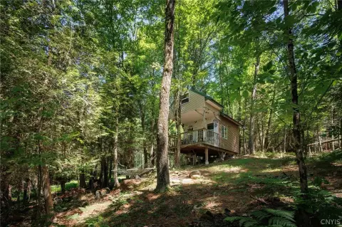 Off-Grid Hunting Cabin Retreat