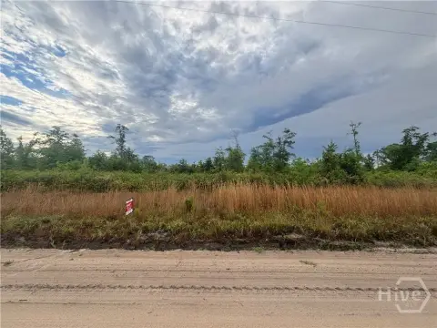 Unrestricted Land in Claxton, Georgia