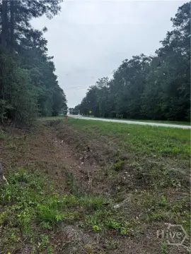 Savannah Land with Development Potential
