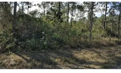 Residential Lot in Lehigh Acres