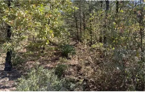 103.5 Acres Vacant Land