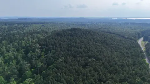 316 Acres Vacant Land