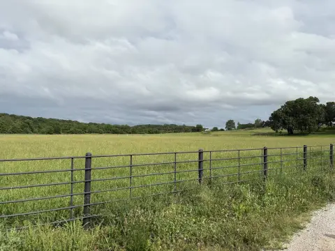 12 Acres Vacant Land Lebanon