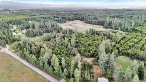 Treed Level Acreage