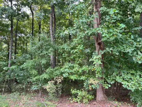 Residential Builder Lot Near Golf