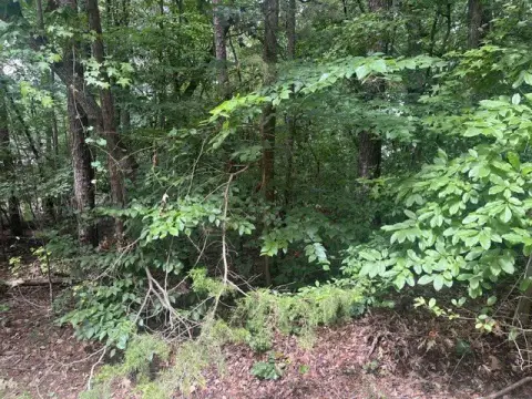 Builder Lot with Community Amenities